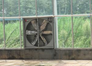 China Highly Durable Greenhouse Cooling System Stainless Steel Blade Material Exhaust Fan factory