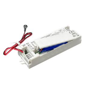 China 3W 1-hour LiFePO4 Battery LED Emergency Backup Driver Auto Testing And Self-testing Optional With 5 Years Warranty on sale