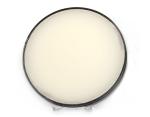 Neutral Polish Instantly Shine 16g 20ml Wax Shoe Polish Colorless Shoe Shiner