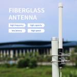 Fiberglass Outdoor Directional Antenna for Lorawan Hotspot 868MHz 915MHz 5dBi