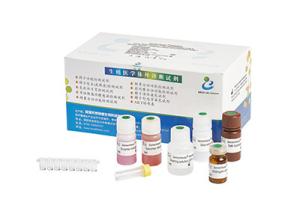 China 96T/ Elastase Assay Kit BRED-006 factory
