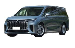 China High Stability Voyah EV 500W Electric Vehicle With 25km/H Max Speed factory