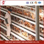 A Type Full Automatic Chicken Cage Equipment For 20,000 Capacity Poultry Farm