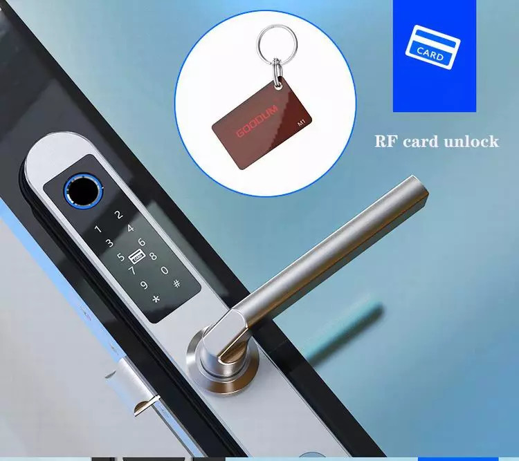 Password RF Card E6900W Aluminum Door Bluetooth Gate Locks