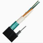 PE or LSZH Jacket Outdoor Armored Fiber Optic Cable with G652D Fiber and Steel