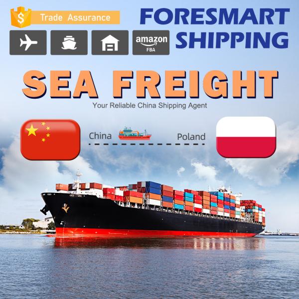 China To Poland International Sea Freight Services , 20ft 40ft FCL LCL Sea