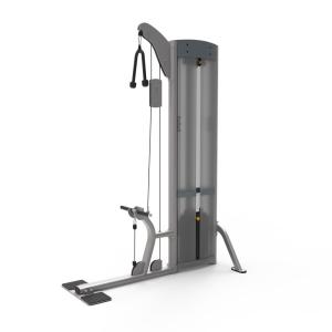 China Gym Clubs Steel Bicep Curl Machine Pin Load For Biceps Triceps Training factory