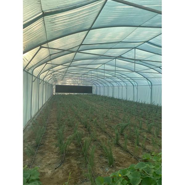 3.3m Height Single Span Greenhouse Vegetable Growing Greenhouse With Hydroponic Systems