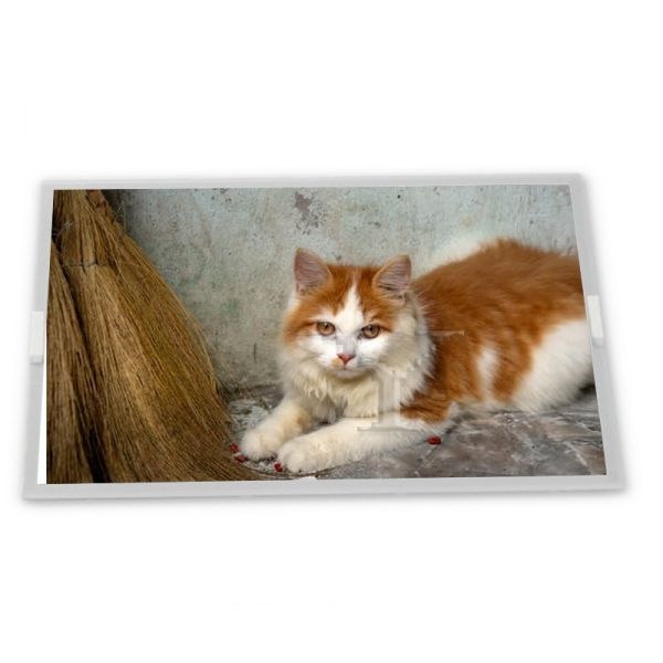 M238DTN01.1 LCD 23.8 inch a-Si TFT-LCD Industrial Control Screen Rectangular