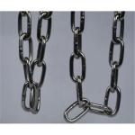 8mm 316 Stainless Steel Link Chain for Transmission in Chemical Industry and