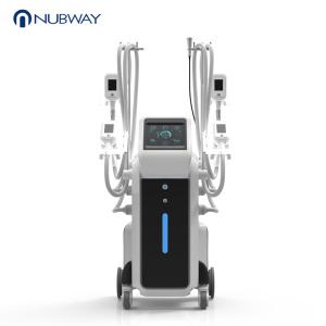 China 2018 High quality Four Handles Cryolipolysis treatment for Beauty salon and distributor factory