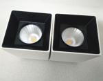 2*10Watt Aluminum Outdoor LED Flush Mount Ceiling light For Bathroom
