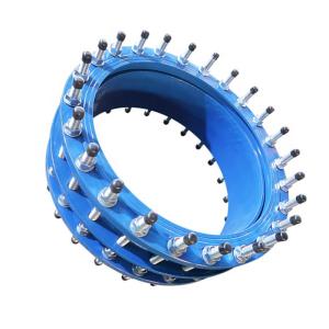 China OEM/ODM Ductile Iron Dismanting Joint Made In China factory