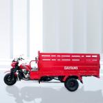 Certified Alibaba Gold 5 Wheels Petrol Motorized Cargo Tricycle with High