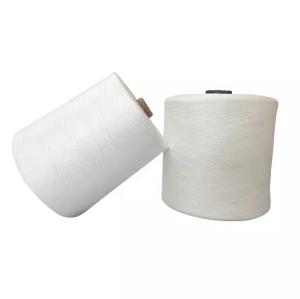 China 47% Viscose 26% Polyester Core Spun Yarn Nylon Thread Glitter Anti Pilling factory