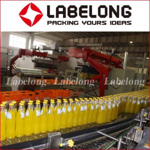 China 500 ML 5000 BPH Small Scale Juice Bottling Equipment factory
