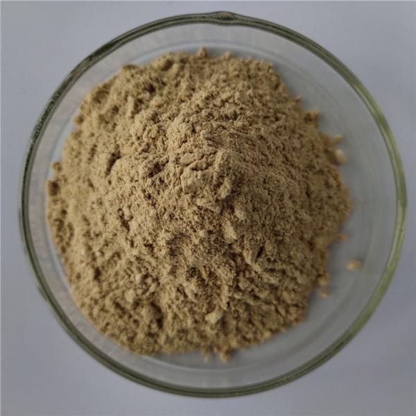 gmp health care product Extract nardostachys jatamansi with best price