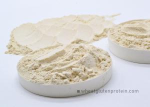China Food Grade Plant Organic Vital Wheat Gluten For Bread Ham Sausage And Dumpling factory