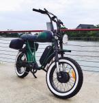 20 Inch Dual Motor Electric Bicycle 7 Speed Full Color Display Fat Tyre Electric
