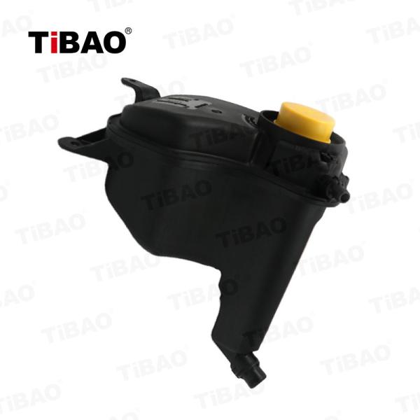 Automotive Expansion Overflow Tank 17137640514 17137607482 For BMW E82 E90 E84