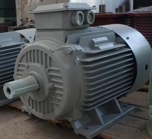 China Three Phase Permanent Magnet AC Alternator Natural Cooled For Wind Turbine factory