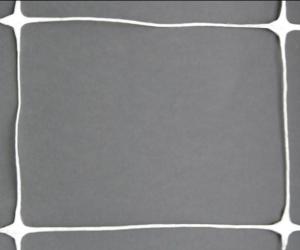 China White Plant Support Netting Mesh For Pea / Bean , Hdpe Extruded Netting factory