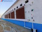 Animal Feeding Chicken Layer Cages 8 Tiers 9 Tiers H Type Layer Hen Cage