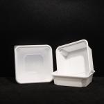Durable PP Lunch Box for Hot and Cold Food with Customization Logo In Outdoor