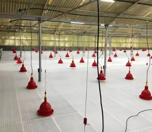China Poultry Farm Plastic Slatted Floor , Poultry Slatted Floor For Chicken House factory