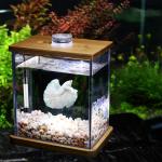 50 Watt Adjustable Submersible Heater For Turtle
