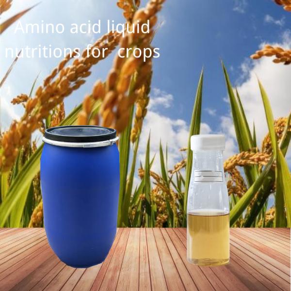 Liquid 5%Organic Calcium And 2% Organic Nitrogen Enzymatic Amino Acid Organic