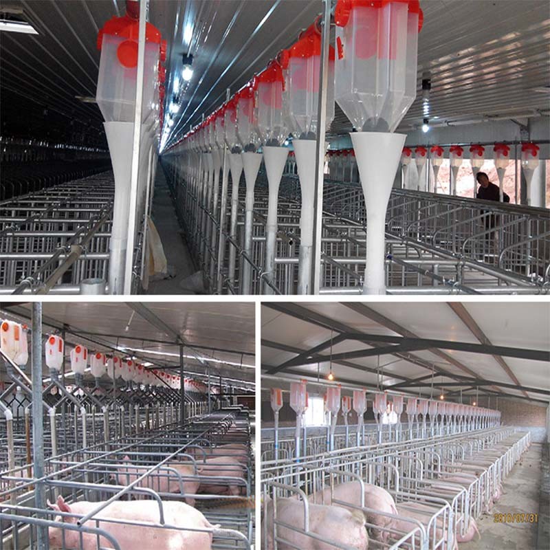 Livestock Feeding Equipment Auto Feed Control Dispenser for pig
