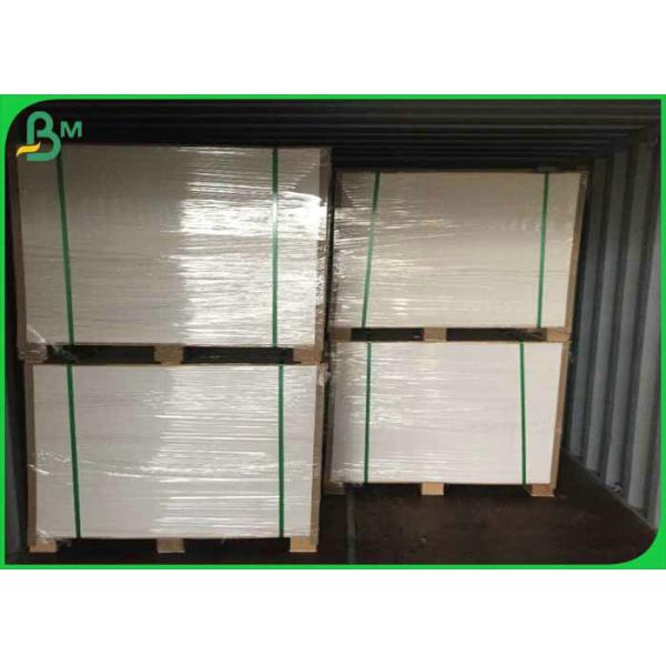 cup paper Fully Safe & Clean 70*100cm 160gsm +12g PE Cup Paper Roll For Coffee Cup