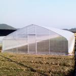 Greenhouse Tunnel Single-span Plastic Film for Agricultural Vegetables and