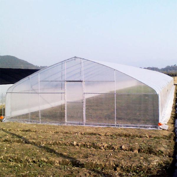Greenhouse Tunnel Single-span Plastic Film for Agricultural Vegetables and