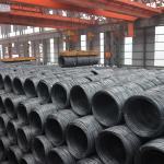 HRB500 Grade JIS Round/Square/Hexagonal Solid Bar Rod with 2mm 3mm 6mm 430 8mm