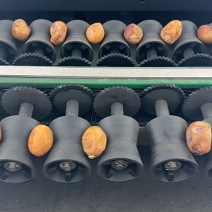 China AI Powered Palm Dates Sorting Machine 2 Tons Capacity with CE MD Certificate on sale