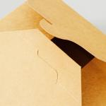 Customized Cardboard Food Takeaway Boxes Packaging Biodegradable Frozen Food