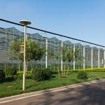 Large Prefabricated Outdoor And Indoor Backyard Glass Greenhouse For Flower