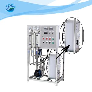 China 1000LPH EDI Water Treatment Plant Reverse Osmosis With EDI System on sale