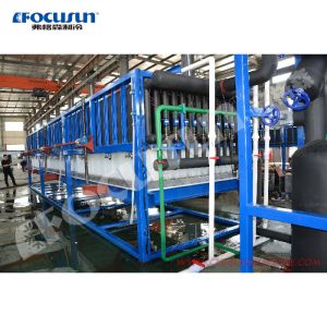 Heavy Duty 30 Ton/Day Direct Cooling Block Ice Making Machine with Bitzer