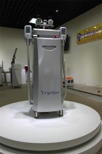 China Cryolipolysis slimming machine best price fat freezing cryolipolysis body slimming device factory