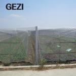 garden insect net tent cover HDPE material customized size Agriculture insect