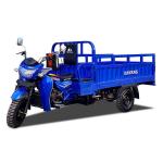 Fuel 1000W RWD Drive Three Wheel Cargo Motorcycle 150cc Cargo Tricycle