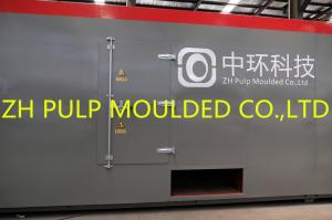 China Disposable Molding Egg Box Forming Machine 100KW Eco Friendly Plates Use factory