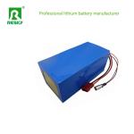 48V 20ah 1000W Lithium Battery Pack For Electric Vehicle