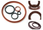 high quality TC Oil seal 30*42*11 41*53*8 OEM China Manufacturer FKM hydraulic