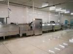 ODM Iqf Machine For Fruits Vegetables Freezer Fresa Strawberry Cooling Quick