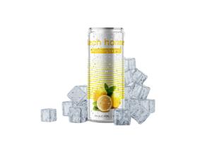China 300ml Orange Flavor Tech Horse Canning Cocktails OEM Private Label Sevice 4.5% ABV factory