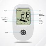 OEM Logo Diabetes Glucometer Blood Glucose Monitor Kit Home Glucometer Auto